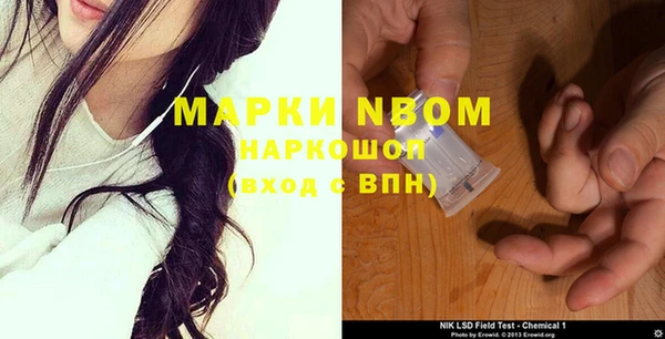 гидра Корсаков