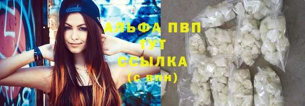 гидра Корсаков