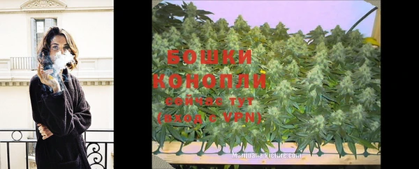 гидра Корсаков