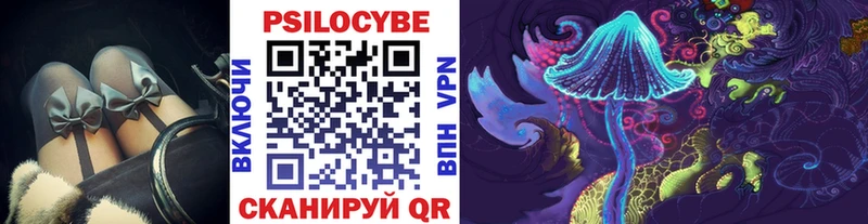 Купить  Реутов  Галлюциногенные грибы Psilocybine cubensis 